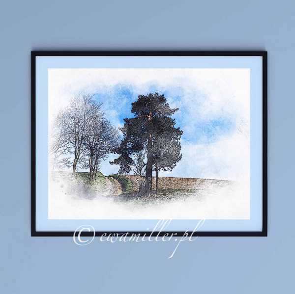 Pine at the crossroads