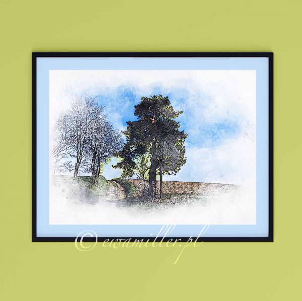 Pine at the crossroads